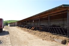 Primaria Balaceana